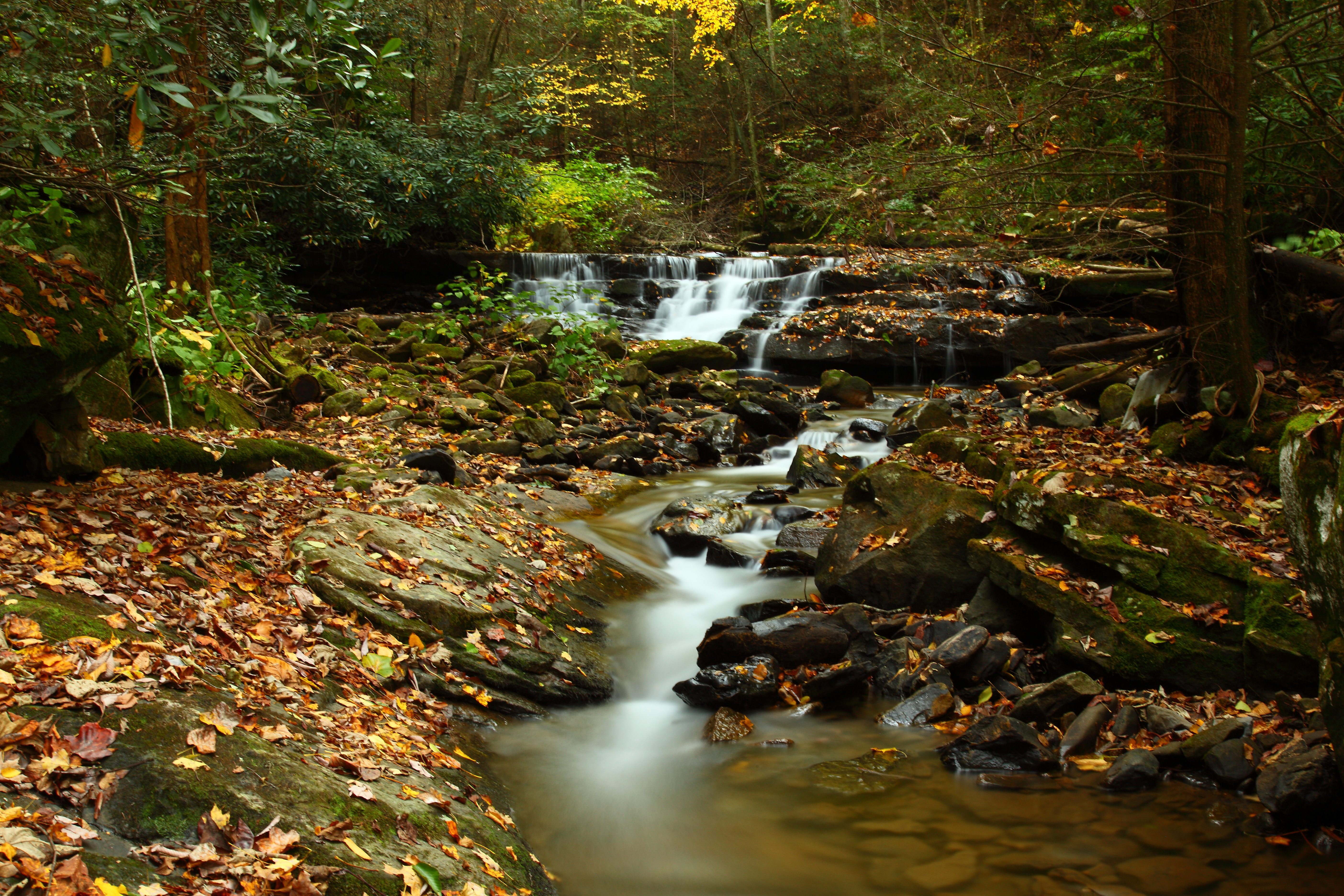 west virginia fall foliage pictures: west-virginia-fall-foliage